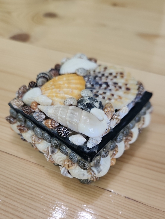 Vintage Other - Vintage Sea Shell Trinket Box Black Velvet Lined Coastal Jewelry Keepsake Case